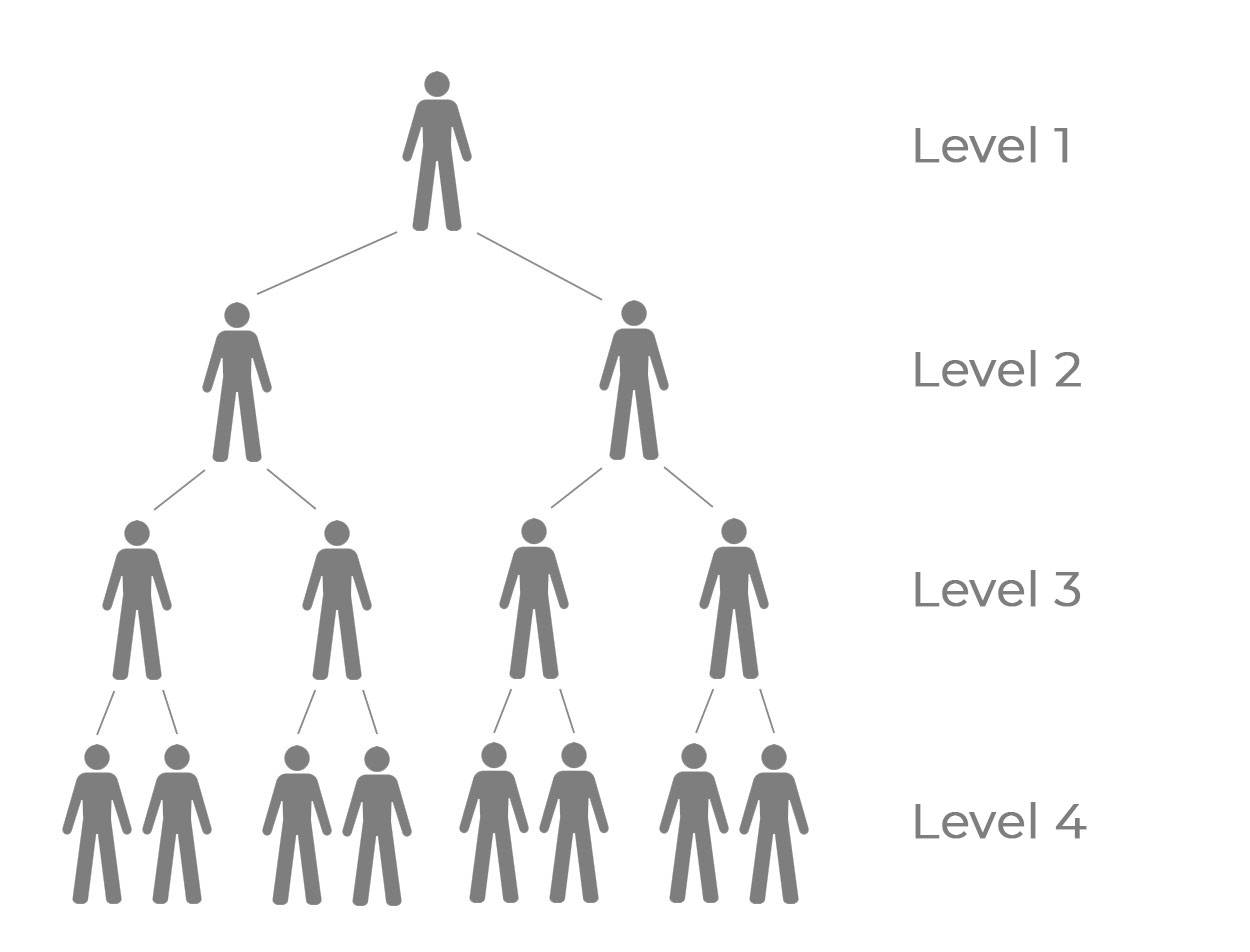 Structure sales organisation