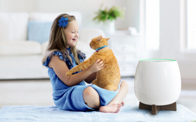 Aire perfectamente limpio: cómo HomePure Zayn puede ayudar con las alergias a las mascotas