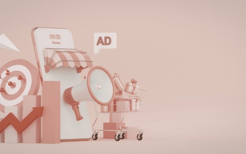 Optimizing Digital Advertising Budgets: The Efficacy of Messaging Campaigns